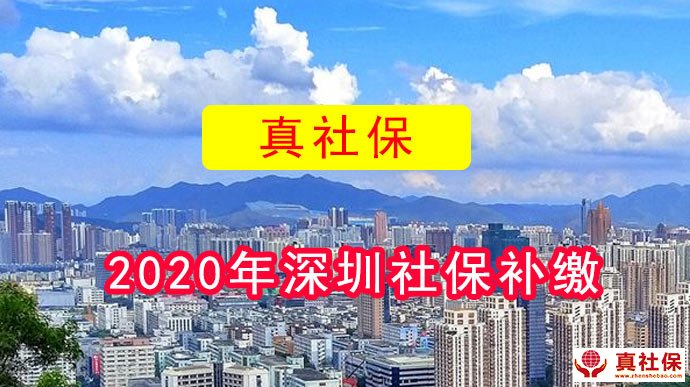 2020年真社保補(bǔ)繳深圳社保