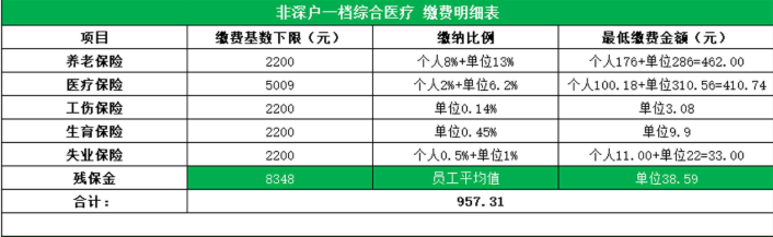 非深圳戶口社保1檔繳費(fèi)明細(xì)表