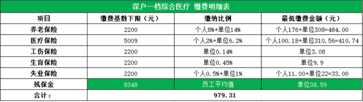 深圳戶口社保1檔繳費(fèi)明細(xì)表