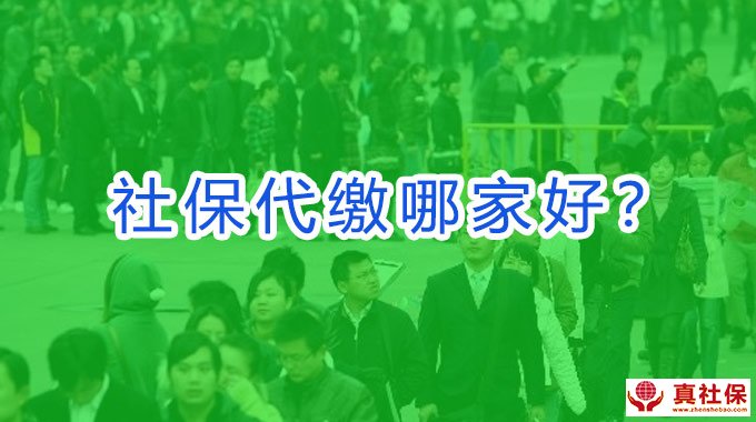 深圳社保代繳機(jī)構(gòu)選擇與比較