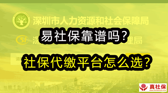 關于易社保公司簡介
