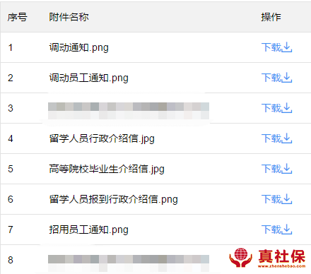 首份引進(jìn)審核文件