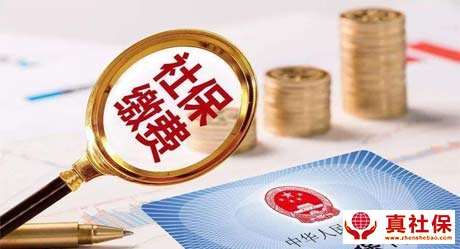 怎么選擇的社保代繳公司