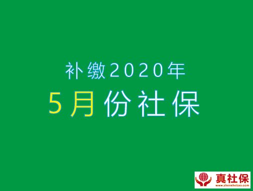 補繳2020年5月份社保
