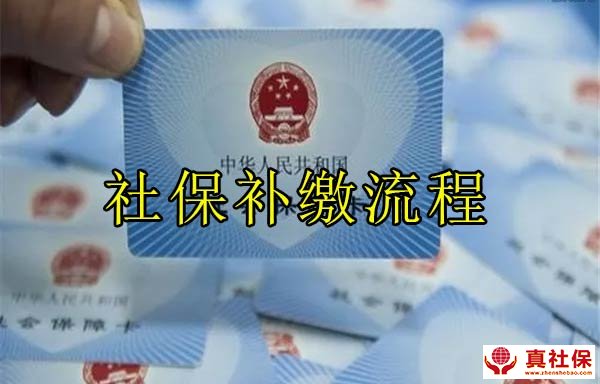 社保補繳流程