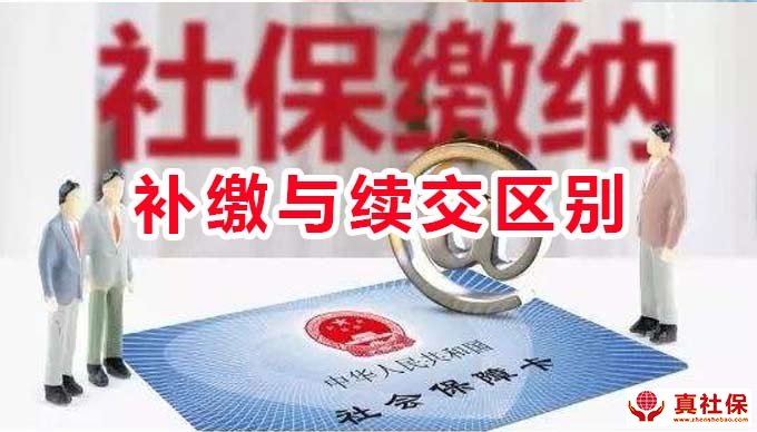 補繳社保與續(xù)交的區(qū)別