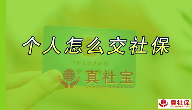 自己如何交社保
