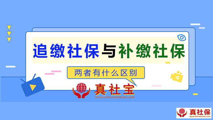 追繳社保