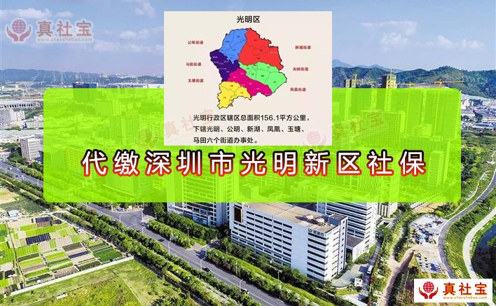 代繳深圳市光明新區(qū)社保